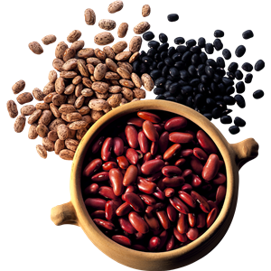 Kidney beans PNG-56894